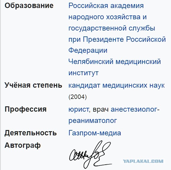 На ПМЭФ заявили, что YouTube теряет популярность в России, уступив VKCO ВК и Rutube