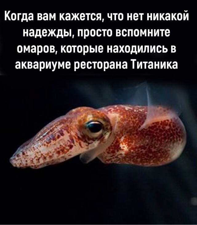Еще только вторник …