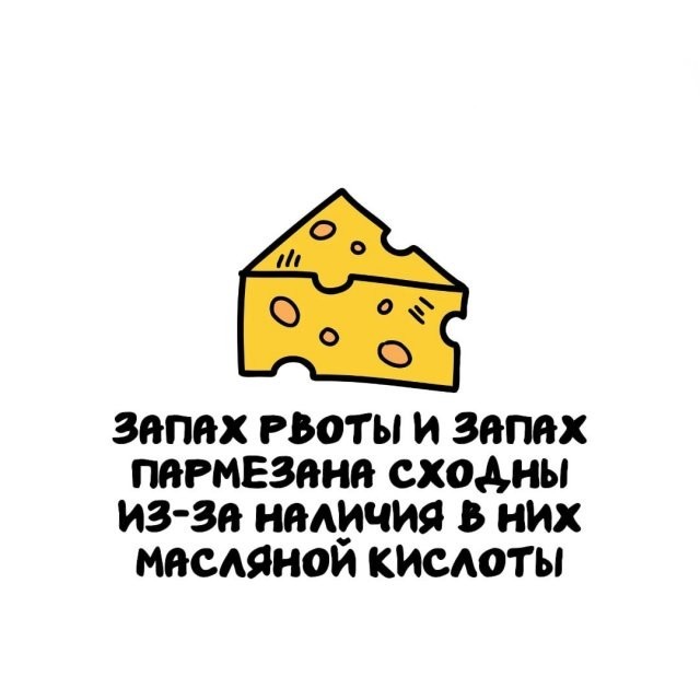 Подборка интересных фактов на все случаи жизни 26.11.25