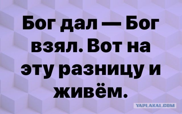 Картинки