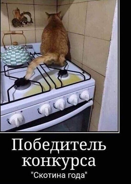 Картинки для улыбки