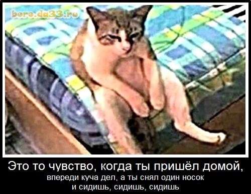 На работу, на работу