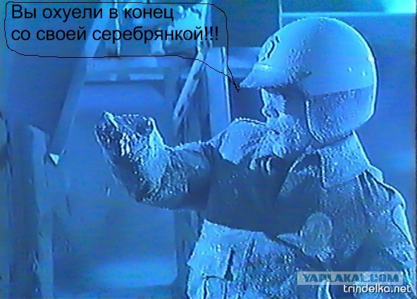 Малолетки щеглы