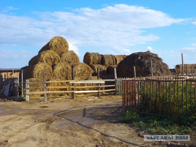 Рыбалка в Астрахани