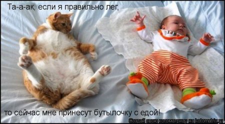 Подборка прикольных фото.