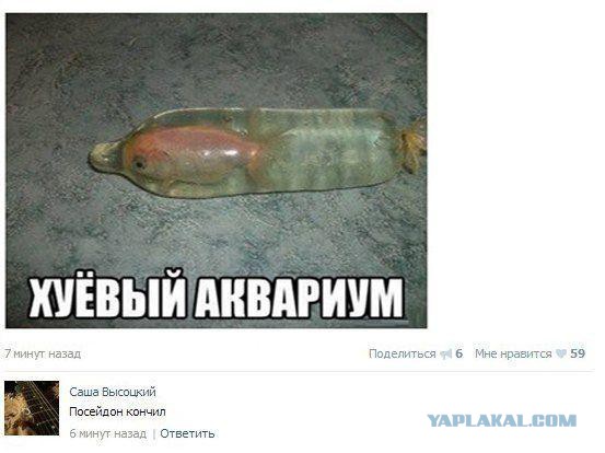 Смешные комментарии из социальных сетей (40 фото)