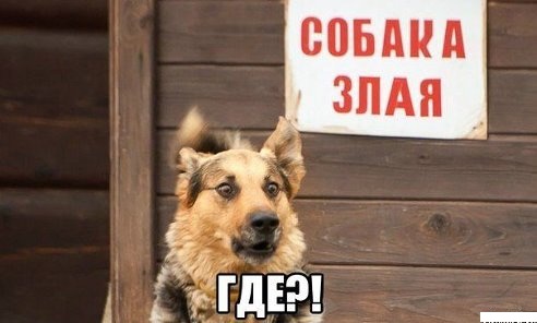 Прикольные картинки на понедельник .