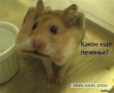 Поднимаем настроение