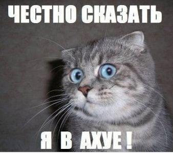 Доброволец из США воюет за Новороссию.