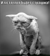 Обнаружил переписку своей жены с другом детства