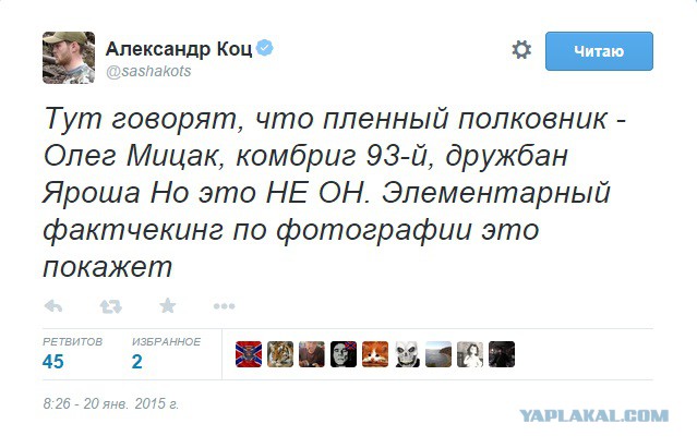 Перемирие кончилось, едва начавшись.