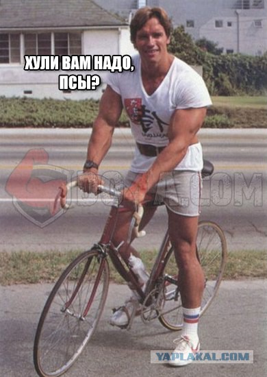 А Шварценеггер был большой шалун...