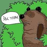 Тем временем в Запорожье