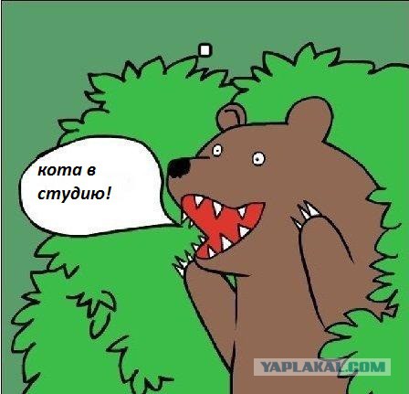 В Думе предлагают разрешить использовать оружие