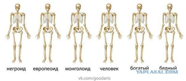 Прогресс на западе и на востоке