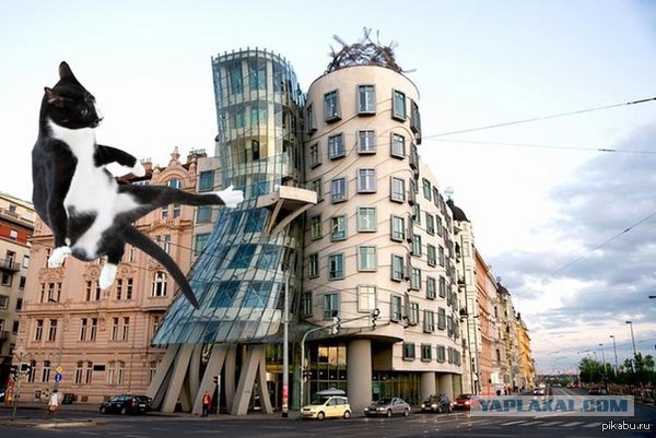 Картинки с просторов на четверг