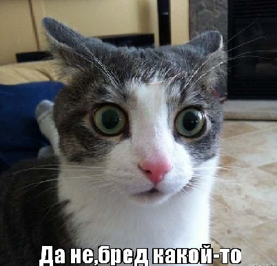 Голосование в NY Дейли Ньюс