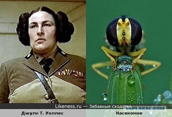 Нато - действительно