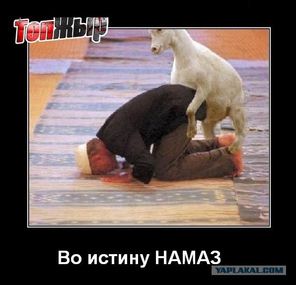 Обнаружил у жены ссадины на коленках