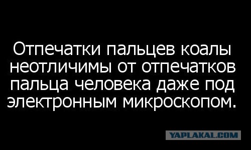 Просто картинки. Всяко разно, не заразно.