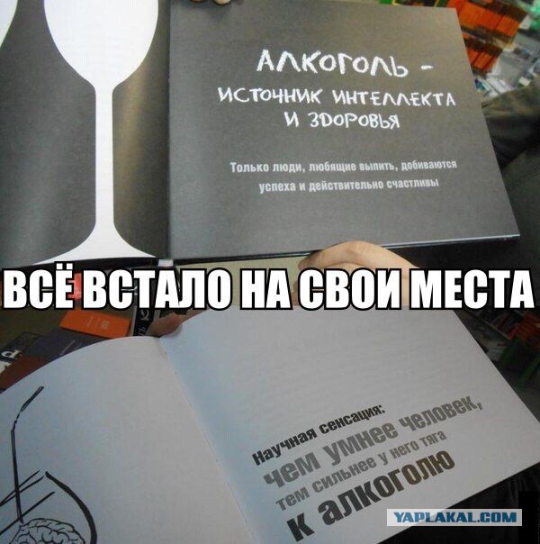 Прикольные картинки