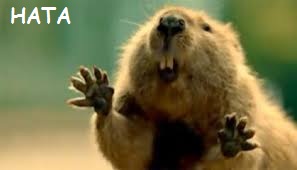 «Российскому другу» Черногория предпочла тех,