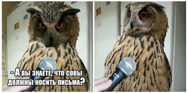 Картинки и демотиваторы