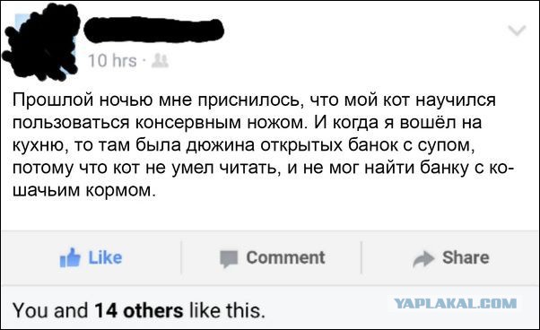 Ужасы и приколы из соцсетей 18+