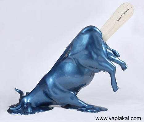 БЫКИ, БУРЁНКИ, Коровы кароча