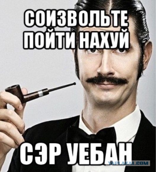 7420168.jpg