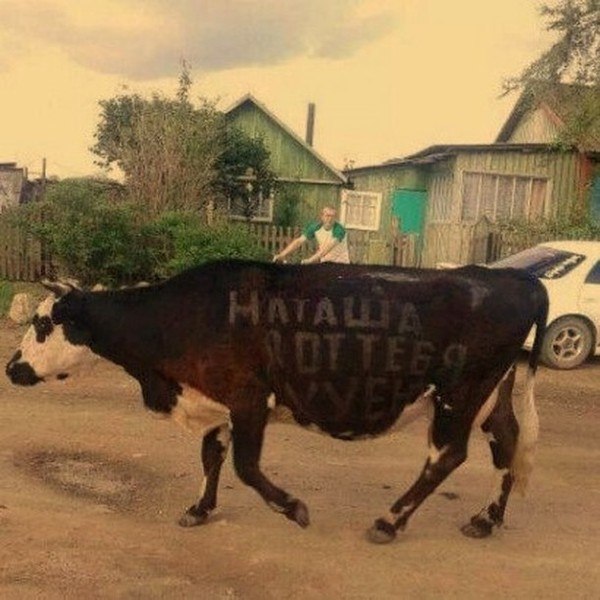 Ужасы и приколы из соцсетей