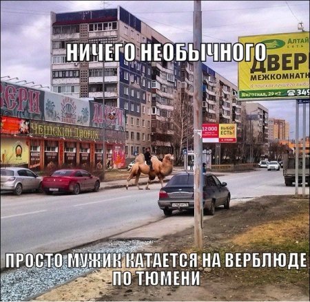 Субботняя подборочка картинок