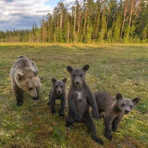 Улыбнемся?