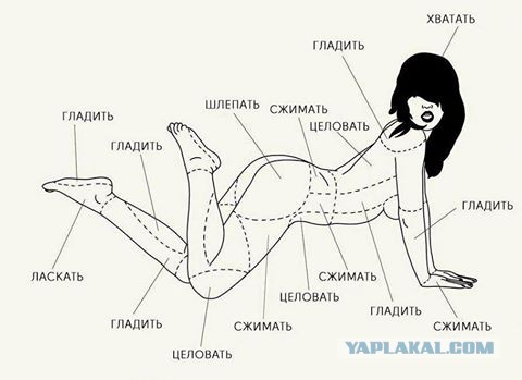 Подборка частицы смеха...