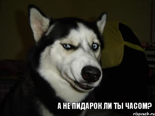 Ученые доказали, что спортивные мужчины не привлекают женщин и рано умирают