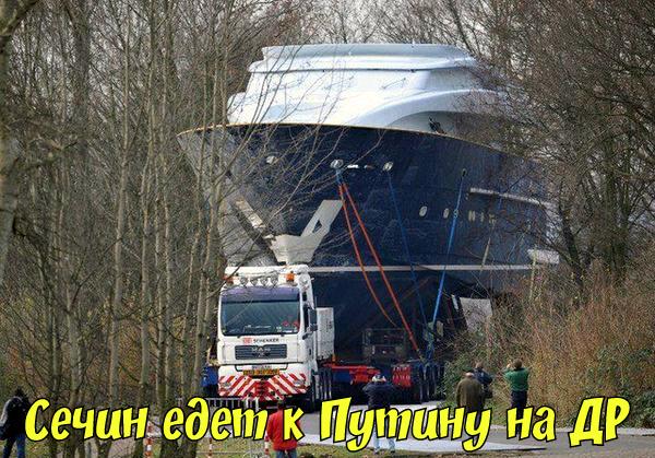 Прикольные картинки