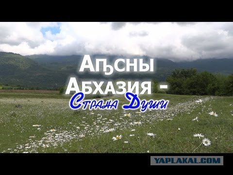 Российских туристов дважды закидали камнями в Абхазии