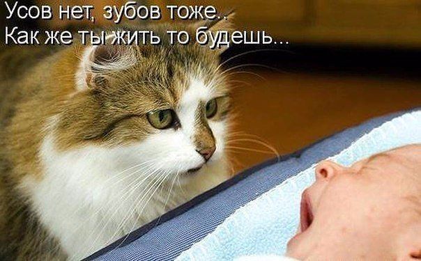 Детской беззаботности и непосредственности в ленту
