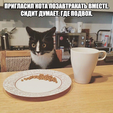 Просто картинки с сети