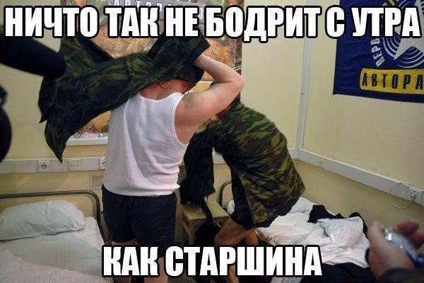 Подборка безудержного веселья