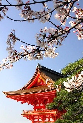 Моменты, запечатлённые на фото и просто позитив 5