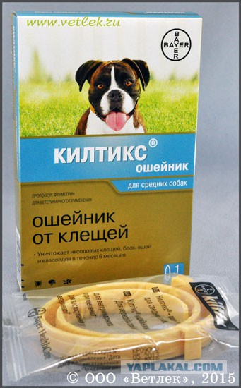 Крым и клещи
