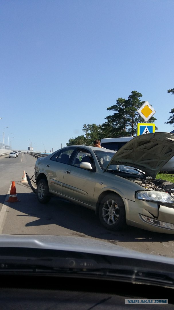 Свежее ДТП на "перекрестке с собаками".
