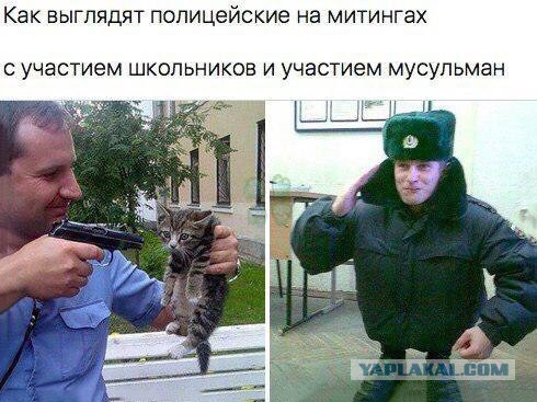 Пришли мы с друзьями на рынок, фрукты есть, а продавцов нет, странно
