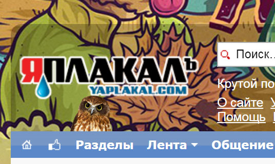 Поймай их), а что будет?