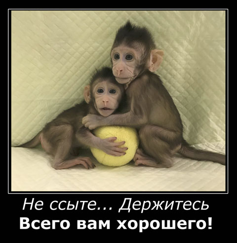 Это все хитрый план, а эти ребята сдадут страну