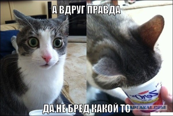 Гастеры воруют зарплату россиян! + Личный опыт