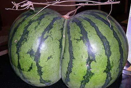 Круглая пятница