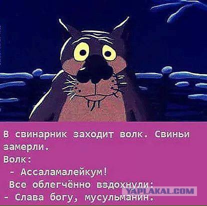 Немного веселых картинок из этих наших интернетов