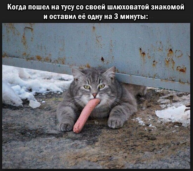Не смешите меня